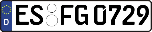 ES-FG0729
