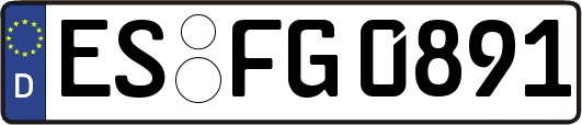 ES-FG0891