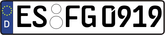 ES-FG0919