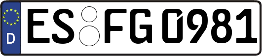 ES-FG0981