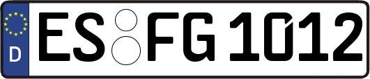 ES-FG1012