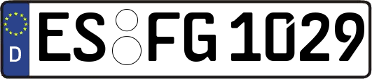 ES-FG1029