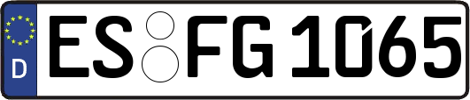 ES-FG1065