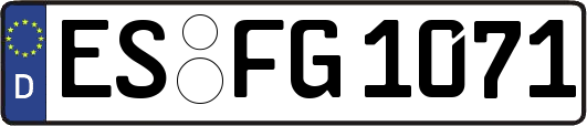 ES-FG1071