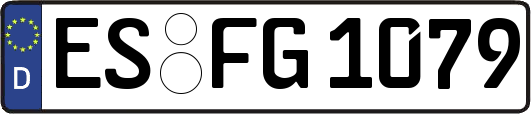 ES-FG1079