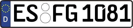 ES-FG1081