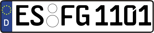 ES-FG1101