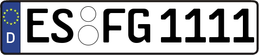 ES-FG1111