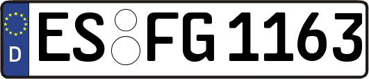 ES-FG1163