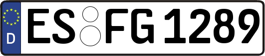 ES-FG1289