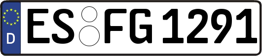 ES-FG1291