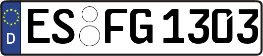 ES-FG1303
