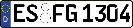 ES-FG1304