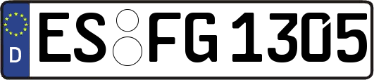 ES-FG1305