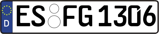ES-FG1306