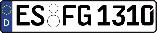 ES-FG1310