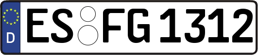 ES-FG1312