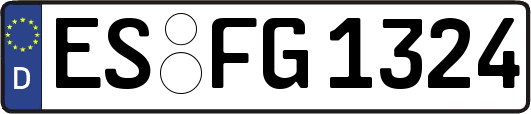 ES-FG1324