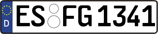 ES-FG1341