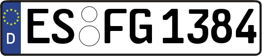 ES-FG1384