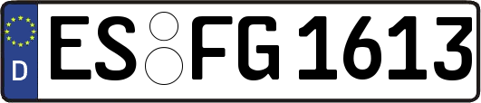 ES-FG1613