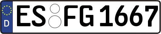 ES-FG1667