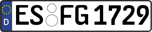 ES-FG1729