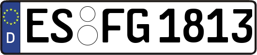 ES-FG1813