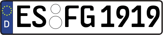 ES-FG1919