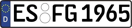 ES-FG1965