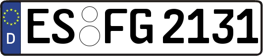 ES-FG2131