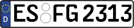 ES-FG2313