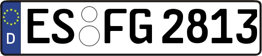 ES-FG2813