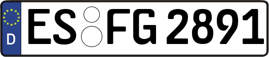 ES-FG2891