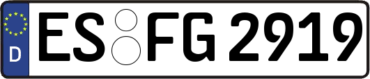 ES-FG2919
