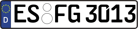 ES-FG3013