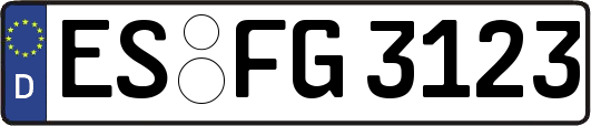 ES-FG3123