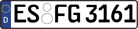 ES-FG3161