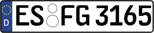 ES-FG3165