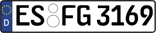ES-FG3169