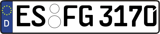 ES-FG3170