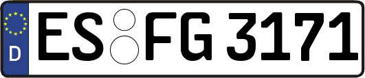 ES-FG3171