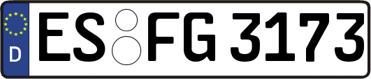 ES-FG3173