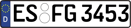 ES-FG3453