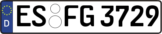 ES-FG3729
