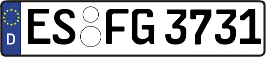 ES-FG3731