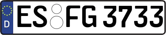 ES-FG3733