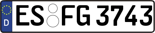 ES-FG3743