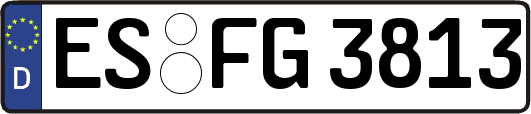 ES-FG3813