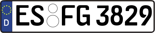 ES-FG3829